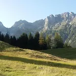 Gruber Sommer