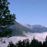Gruber Sommer