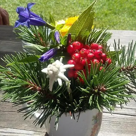 Gruber Sommer Alpendorf (Salzburg)