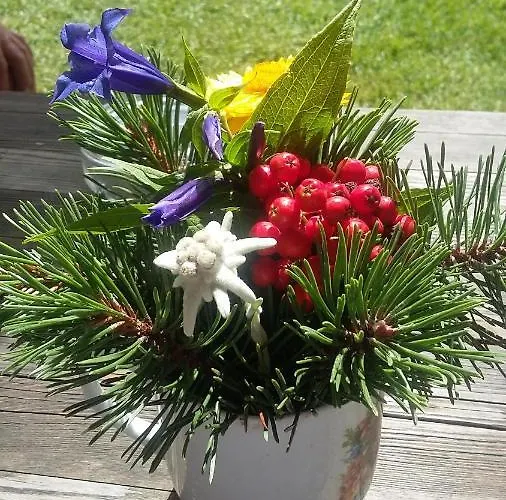 Gruber Sommer Sankt Johann im Pongau