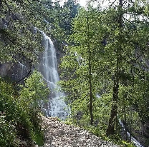 Gruber Sommer