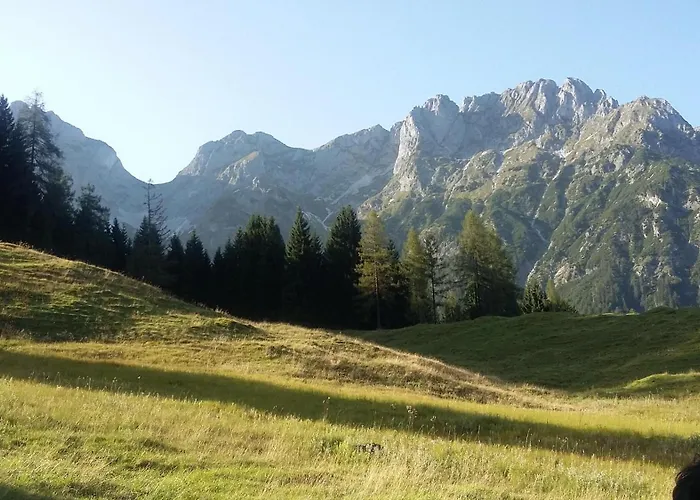 Gruber Sommer